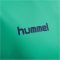 Hummel Promo Duó zöldes/sötétkék férfi szett