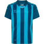   Hummel Core XK poly sötétkék/világoskék gyerek csíkos mez