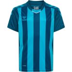   Hummel Core XK poly sötétkék/világoskék gyerek csíkos mez