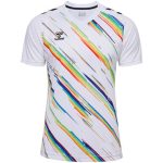 Hummel Match Triumph fehér/színes futballmez