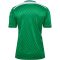 Hummel Match Legend zöld futballmez