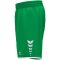 erima Wings zöld férfi rövidnadrág