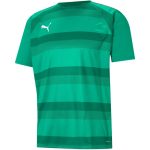 Puma teamVISION zöld férfi mez