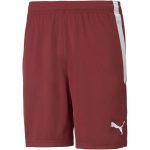 Puma teamLIGA férfi rövidnadrág