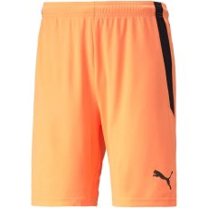 Puma teamLIGA férfi rövidnadrág
