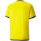 Puma teamLIGA sárga gyerek mez