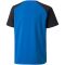 Puma teamPACER kék gyerek mez