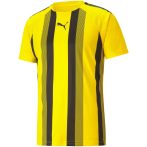 Puma teamLIGA Striped sárga gyerek mez