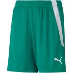 Puma teamLIGA zöld gyerek rövidnadrág