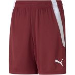 Puma teamLIGA gyerek rövidnadrág