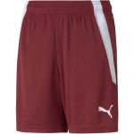 Puma teamLIGA gyerek rövidnadrág