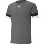  Puma teamRise szürke gyerek mez
