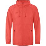 Jako Light Flow esődzseki