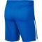 Nike Dri-FIT kék férfi rövidnadrág