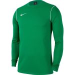   Nike Park 20 Dri-FIT zöld férfi hosszú ujjú tréningpóló