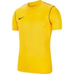 Nike Park 20 Dri-FIT sárga férfi mez