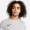 Nike Park IV Dri-FIT szürke férfi kapusmez