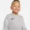 Nike Park IV Dri-FIT szürke gyerek kapusmez