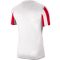 Nike Dri-FIT Striped Division IV piros/fehér férfi mez
