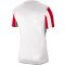 Nike Dri-FIT Striped Division IV piros/fehér férfi mez