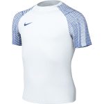 Nike Dri-FIT Academy fehér/kék gyerek mez