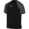 Nike Dri-FIT Academy Pro fekete/sötétszürke férfi edzőpóló