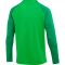 Nike Dri-FIT Academy Pro hosszú ujjú zöld férfi edző póló