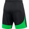 Nike Dri-FIT Academy Pro fekete/zöld férfi rövidnadrág