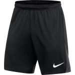  Nike Dri-FIT Academy Pro fekete/sötétszürke férfi rövidnadrág