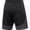 Nike Dri-FIT Academy Pro fekete/sötétszürke férfi rövidnadrág