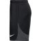 Nike Dri-FIT Academy Pro fekete/sötétszürke férfi rövidnadrág