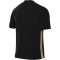 Nike Park Derby IV Dri-FIT fekete férfi mez