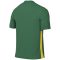 Nike Park Derby IV Dri-FIT zöld férfi mez