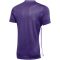  Nike Park Derby IV Dri-FIT lila férfi mez