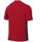 Nike Park Derby IV Dri-FIT piros férfi mez