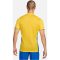 Nike Park Derby IV Dri-FIT sárga férfi mez