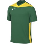 Nike Park Derby IV Dri-FIT zöld gyerek mez