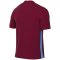 Nike Park Derby IV Dri-FIT gyerek mez