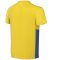 Nike Park Derby IV Dri-FIT sárga gyerek mez