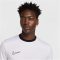 Nike Academy 25 Dri-FIT fehér férfi póló