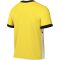 Nike Academy 25 Dri-FIT sárga férfi póló