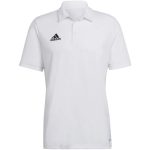 adidas Entrada 22 fehér férfi galléros póló