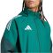 adidas Tiro 25 Competition minden időjárás zöld dzseki