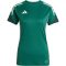 adidas Tiro 25 Competition tréning zöld női mez