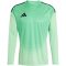 adidas Tiro 25 Competition zöld férfi kapusmez
