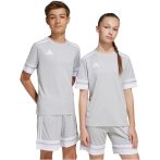adidas Squadra 25 szürke gyerek mez