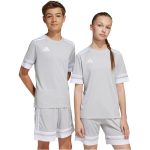 adidas Squadra 25 szürke gyerek mez