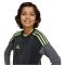 adidas Tiro 25 Competition szürke gyerek kapusmez