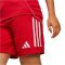 adidas Tiro 25 Competition Match piros gyerek rövidnadrág