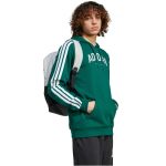   adidas Codes Collegiate Graphic kapucnis zöld férfi pulóver
